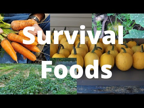 are-we-growing-the-right-foods