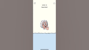 Einstein™ Brain Games & Puzzle Level 12 Save him