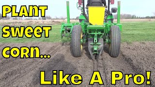 Hobby Farmer! Planting Sweet Corn