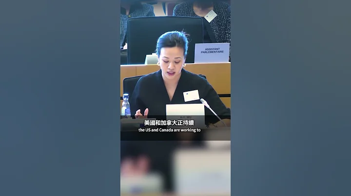直球对决欧盟官员 吴欣盈霸气为台发声 - 天天要闻
