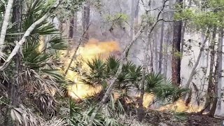 Peak wildfire season prompts warning from St. Johns County firefighters: How to protect your home