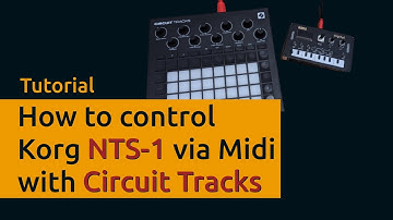NTS-1 via Midi: How to connect and play it with Circuit Tracks - Tutorial