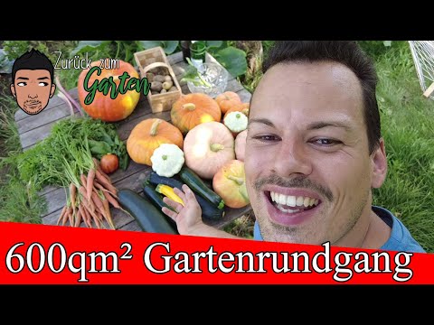 Video: Gemüsegarten in Zone 4: Wann Gemüse in Gärten der Zone 4 gepflanzt werden sollte