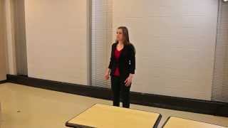 Informative Speaking - Sample Speech 2