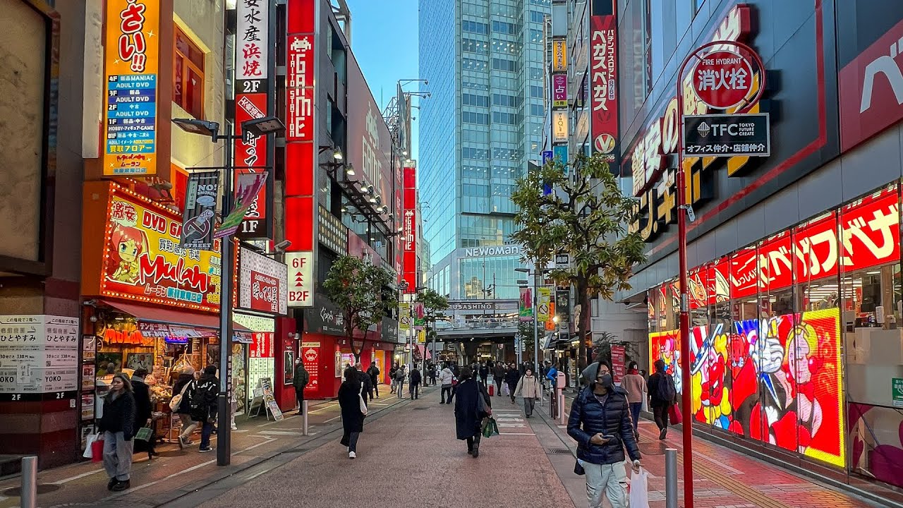 Japan Walking Tour: Kanda & Shinjuku, Tokyo
