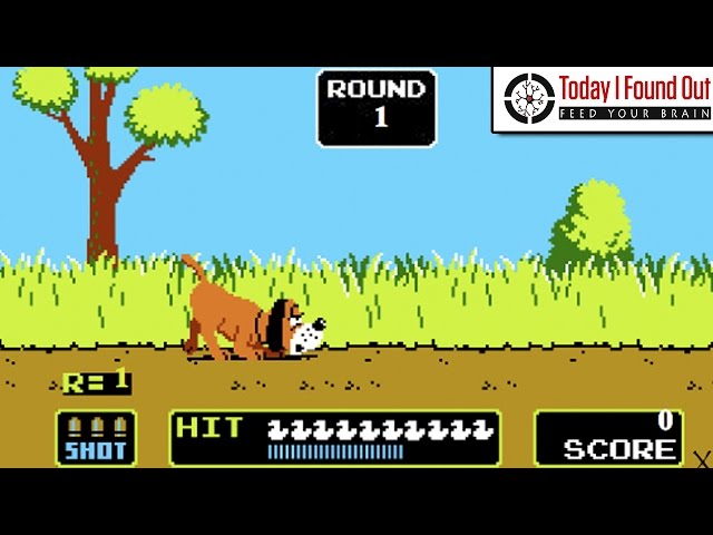 ultimate duck hunting games