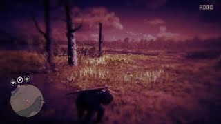 Red Dead Redemption 2 Friendly Fire