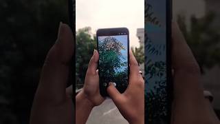 Samsung galaxy m14 review 💥#shorts #zoomtest #trendingshorts #smartphone #tech