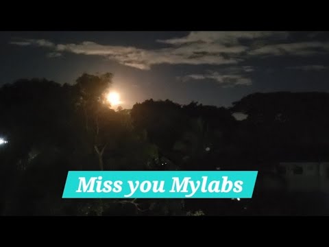 Miss you Mylabs💝💝💝 #dont_forget_to_like_and_subscribe