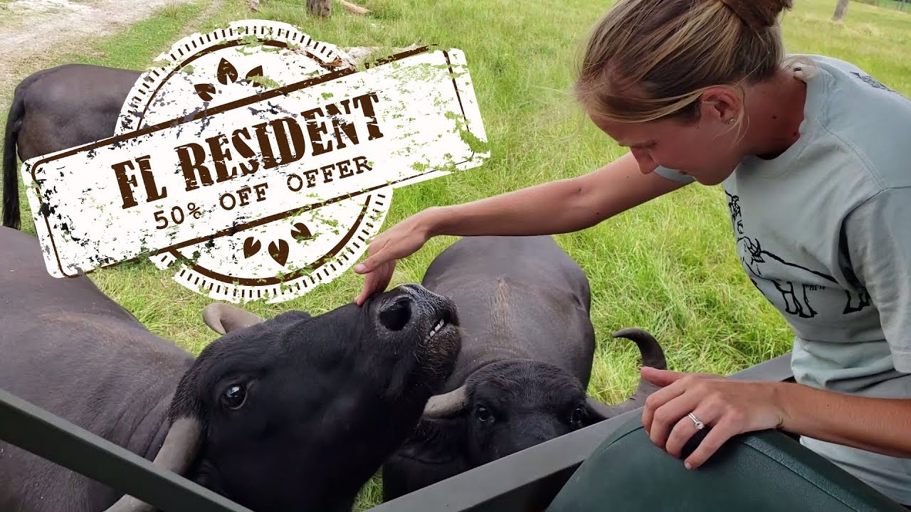 polk county property appraiser September Savings at Safari Wilderness
