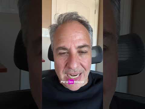 Why are we worried about the flies in Mexico??? 🇲🇽❤️🤣 #mexico #davidspeakshq