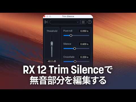 RX 12 Trim Silenceで無音部分を編集する