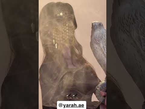 لـين محمد الترنـد العراقي مع الصقـر جيش لينو اكسبلور 