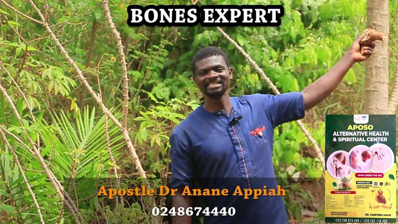 Helo Benefits of Cassava Leaves, stem and food by the Bone Expert Apostle Dr Anane Appiah 