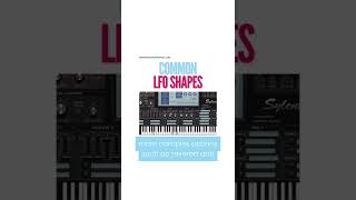 🔔 Common LFO Shapes 🔔
