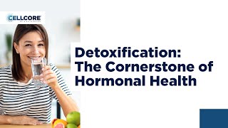 Detoxification - The Cornerstone of Hormonal Health
