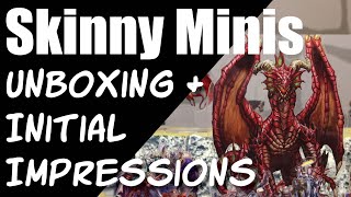 Skinny Minis - Unboxing and Initial Impression (2D Flat Pre-Painted Miniatures)