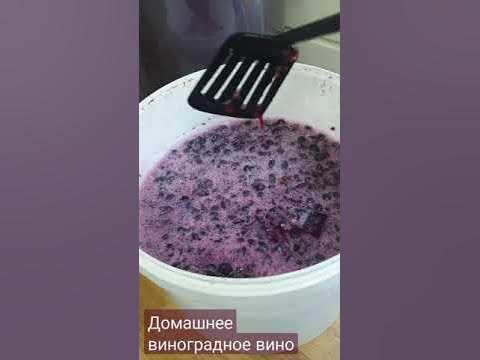 Домашнее виноградное вино - YouTube