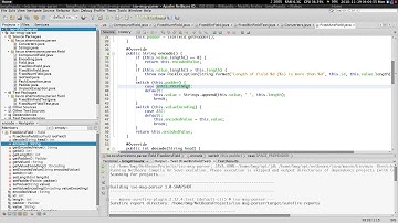 6. iso 8583 parser - fixed ans field