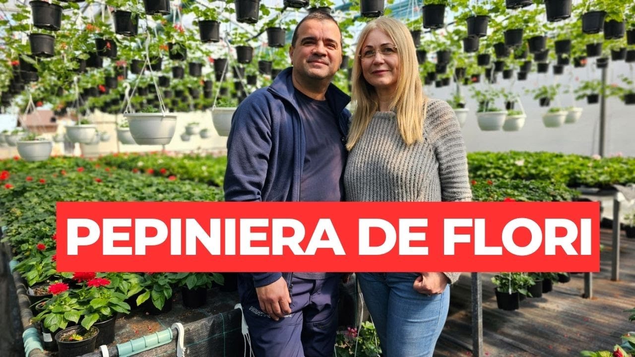 Afacere înfloritoare: doi bucureșteni și-au făcut o pepinieră de flori la Poplaca