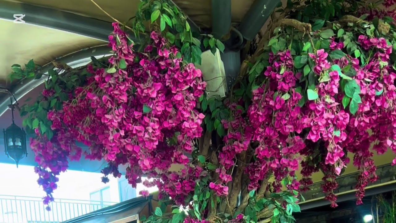 "Adaab Restaurant: Open Now in F6 Markaz!"