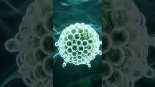 The INVISIBLE force exploding toxic lake algae... 🔊💧#Shorts #LakeManagement #EcoFriendly #Science