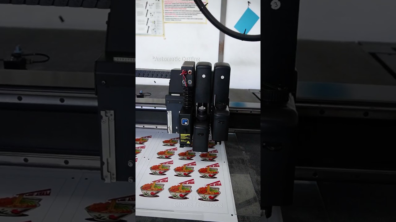 𝐏𝐫𝐨𝐬𝐞𝐬 𝐌𝐞𝐬𝐢𝐧 𝐂𝐮𝐭𝐭𝐢𝐧𝐠 𝐒𝐭𝐢𝐜𝐤𝐞𝐫 𝐃𝐢𝐞 𝐂𝐮𝐭 