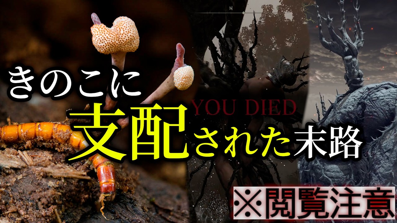 【エルデンリング考察】喰うとおっさん出産。厳かなる苗床キノコについて『狭間の地、寄生生物の楽園だった説』