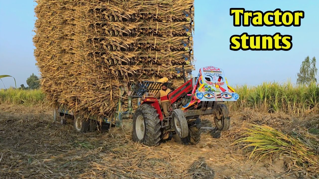 Mf 385 heavy drift with heavy loaded sugarcane trolly
