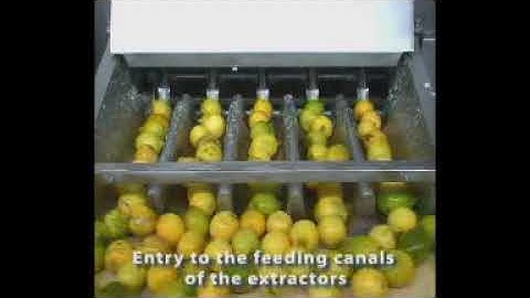 Citrus juice processing line