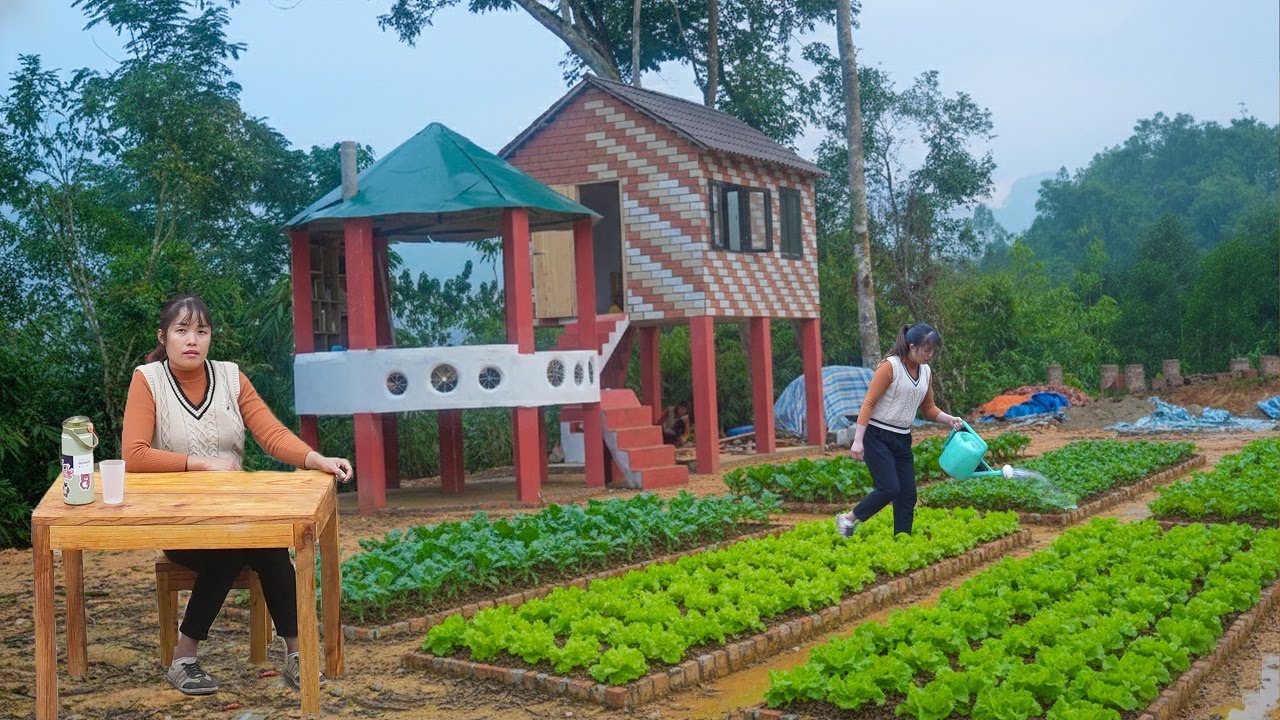 DIY kitchen furniture set - Growing and caring for organic vegetables on the farm