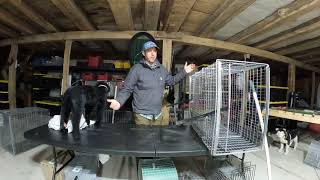 Animal Restraint Modules