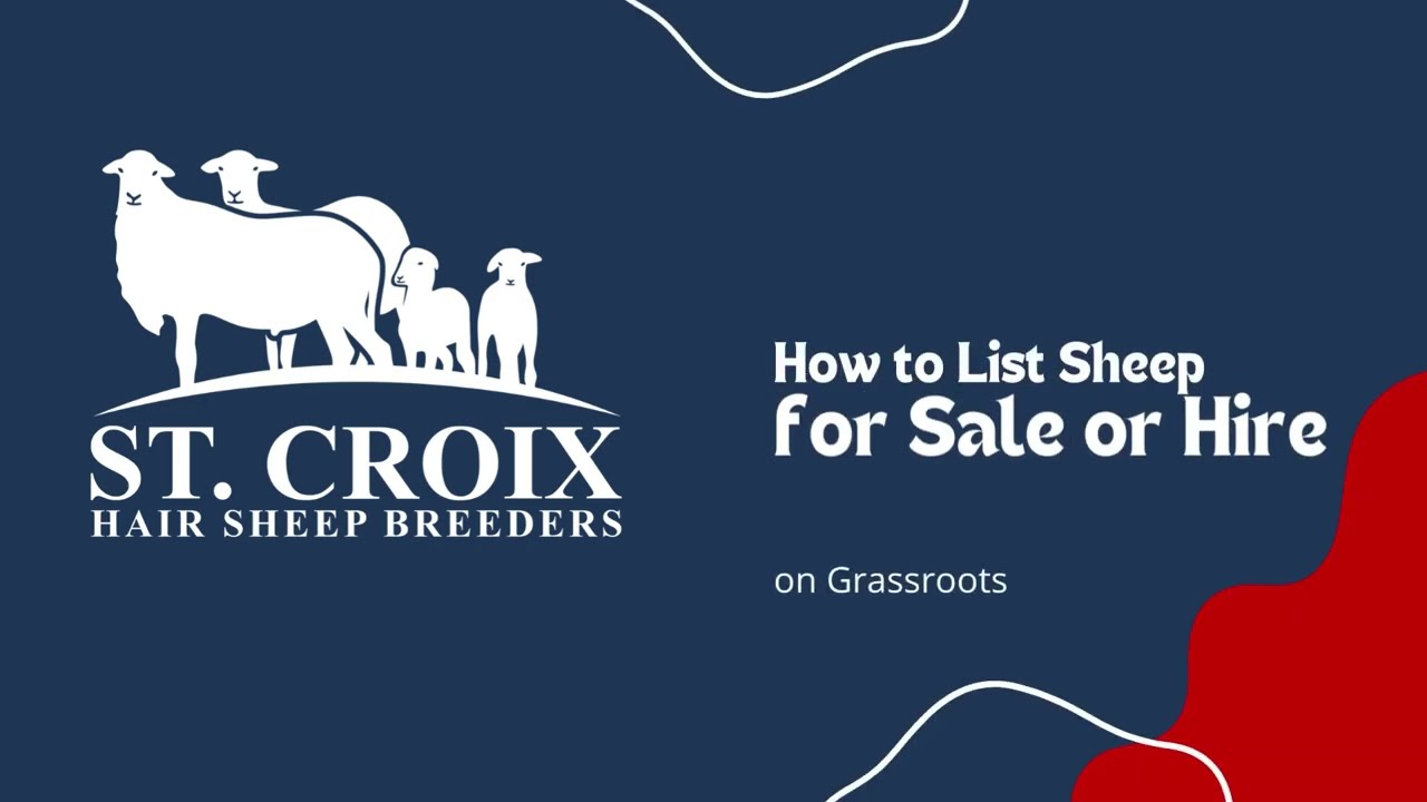 How to List Sheep for Sale on Grassroots - Using the SCHSB Registry