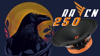 Эти динамики сделают тебе больно - Raven 250 с диким панчем [обзор, прослушка от магазина SOUNDWAR]