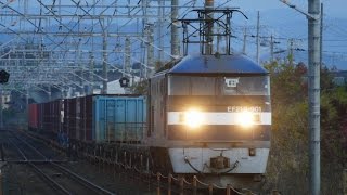 2016/12/19 JR貨物 1090列車にEF210-901号機を2カメで撮る