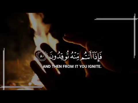 الذي جعل لكم من الشجر الأخضر نارا القارئ شريف مصطفي