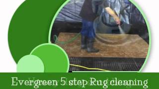 Evergreen Professional Carpet & Rug cleaning Los Angeles