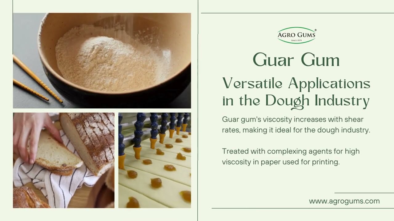 Guar Gum Versatile Applications in Dough Industry