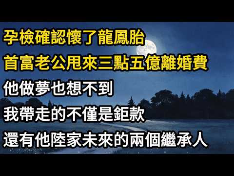 孕檢確認懷了龍鳳胎，首富老公甩來三點五億離婚費。他做夢也想不到，我帶走的不僅是鉅款，還有他陸家未來的兩個繼承人。
