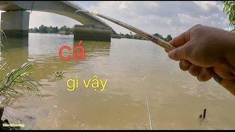 Vissen aan de voet van de Bach Dang-brug; vandaag heb ik zowel vis als garnalen gevangen // visse...