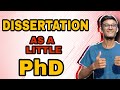 All about Dissertation work 🧐 for Master's Degree | Little PhD 😜| All wildlife related field