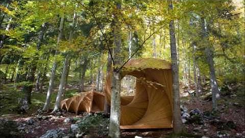 Jean Sibelius - String Quartet Op. 4 - 1^mov. - Allegro