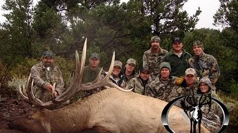 365" Muzzleloader Elk Hunt - Caryn Moss - MossBack