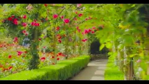 آيات من سورة النّمل اسلام صبحي أَمَّنْ خَلَقَ السَّمَاوَاتِ وَالْأَرْضَ تلاوه تريح القلب