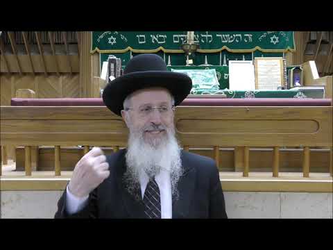 הרב אברהם יוסף שליט"א דיני והלכות חול המועד תשפ"א