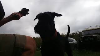 Japp soft item hold start July 2018 screenshot 4