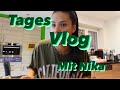 Vlog   xnika