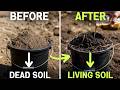 Even Dead Soil Comes Back to Life! 1 Simple Kitchen Brew That Fixes Everything