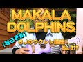 KALA カラ ウクレレ MAKALA Dolphins カウリトップ ソプラノ イルカ型ブリッジ MK-SD ／ 【毎日更新】 BJのウクレレ講座 No.817