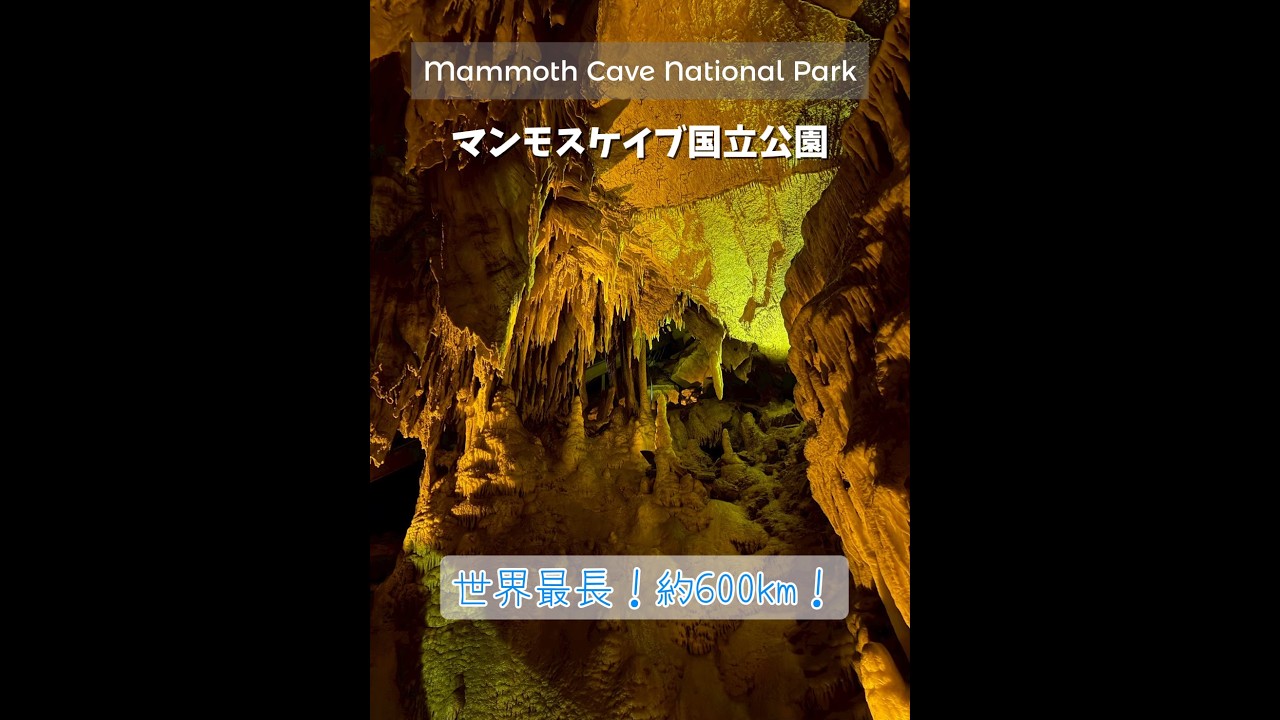 世界最大の洞窟探検！マンモスケイブ国立公園行ってみた